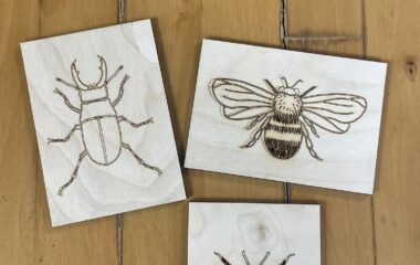 Forskellige insekter laserskåret i birkefiner