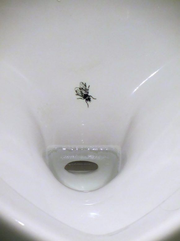 Billede af klistermærke af en flue i toiletkummen